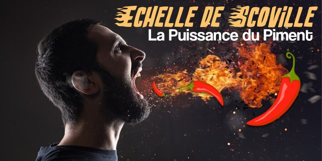 sauce piquante et echelle de scoville