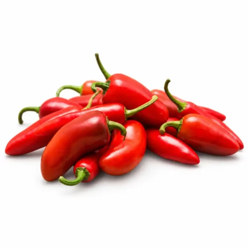 Piment Jalapeno Rouge extra frais