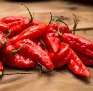 le Piment Ghost Pepper est l'un des plus fort sur l'échelle de scoville