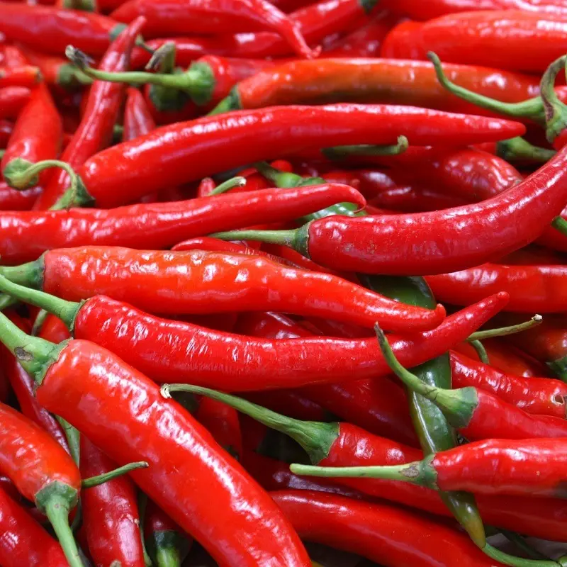piment utilisé par high river