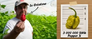le pepper x est le piment le plus fort du monde