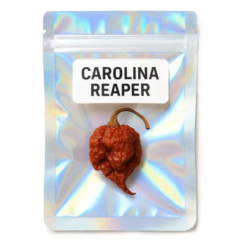 carolina reaper piment sec français et breton