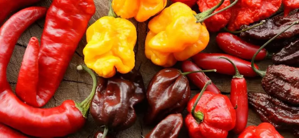 liste et recherche de presque tous les piments du monde