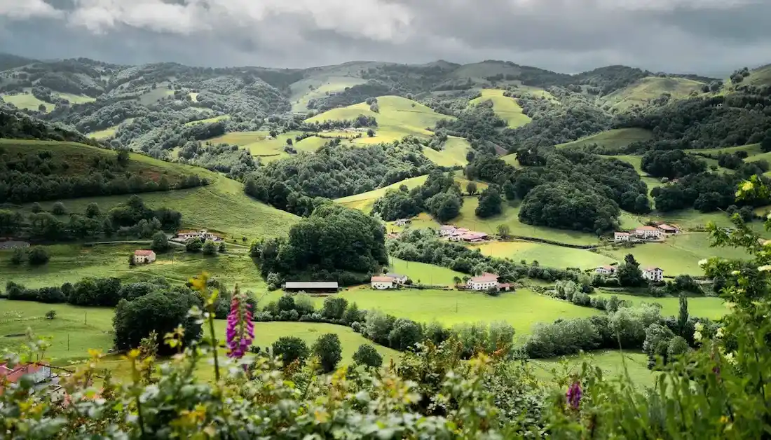 paysage pbasque ou pousse le piment d'espelette
