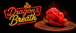 Dragon’s Breath piment extra puissant