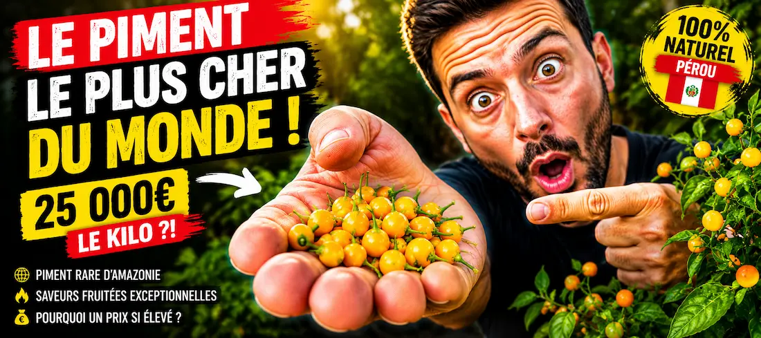 le piment aji charapita est le piment le plus cher du monde