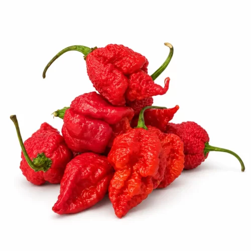 Piments Carolina Reaper ultra-frais