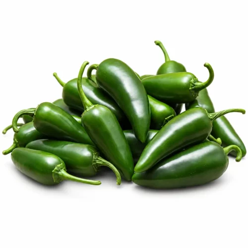 Piment Jalapeno Vert Frais - Piment Mexicain
