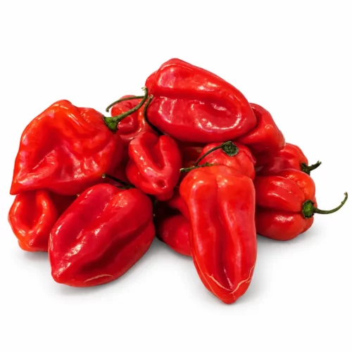 Piment Habanero Rouge Frais du Mexique