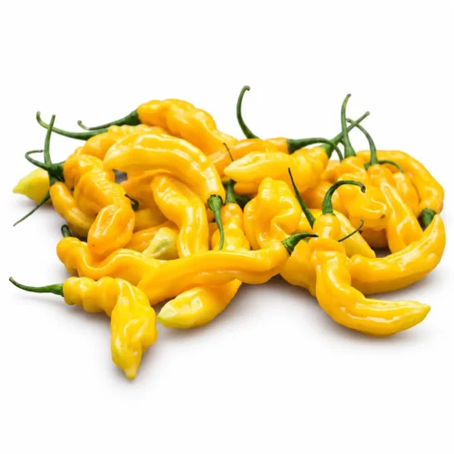 Piment Madame Jeanette 🟢 Frais - Piment Mexicain - 50 g - 14 Piments