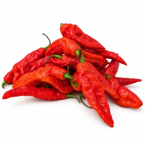 Piment Naga Jolokia Frais (Ghost Pepper) Indien Fort – 200 g - 26 Piments